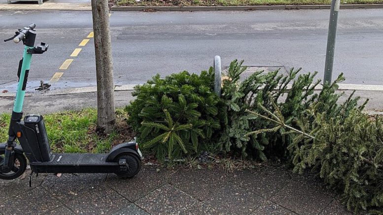 Freiburg sammelt Weihnachtsbäume vom 12. bis 23. Januar ein