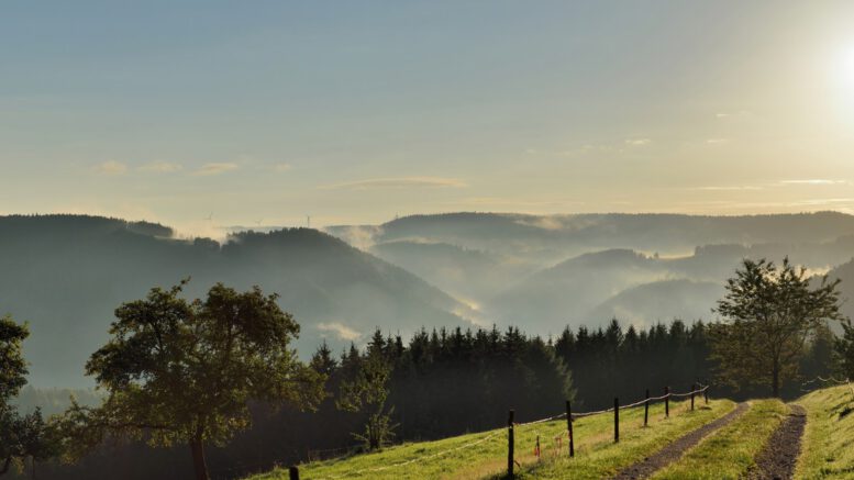 Lenkungskreis legt Arbeitsprogramm 2026 des Biosphärengebiets Schwarzwald fest