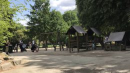 Nordmanntanne im Stadtgarten wird aus Sicherheitsgründen gefällt