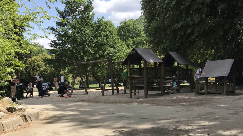 Nordmanntanne im Stadtgarten wird aus Sicherheitsgründen gefällt