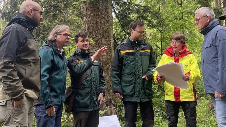 Zehnjahresplan legt Maßnahmen für den Stadtwald Oppenau fest